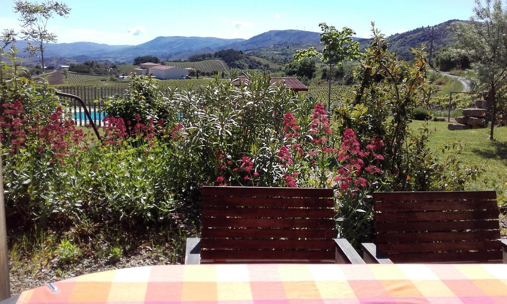 gîtes Entre les Vignes Tourreilles Extérieur photo