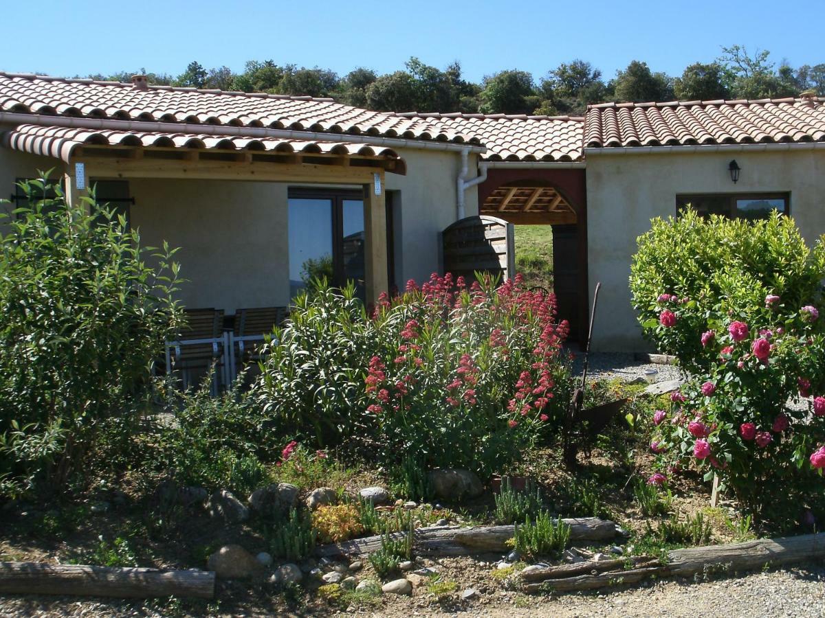 gîtes Entre les Vignes Tourreilles Extérieur photo